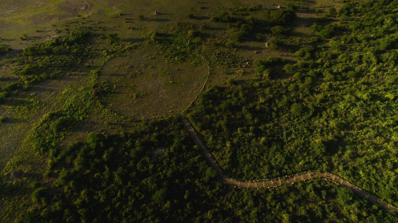 Manyara Wildlife Safari Camp Villa Zanzibar Luaran gambar